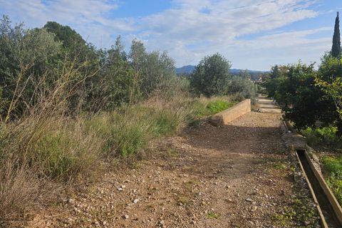 Finca i Xerta, Tarragona, Xerta - € 29.999 | Ref: Xer07jay - foto 8