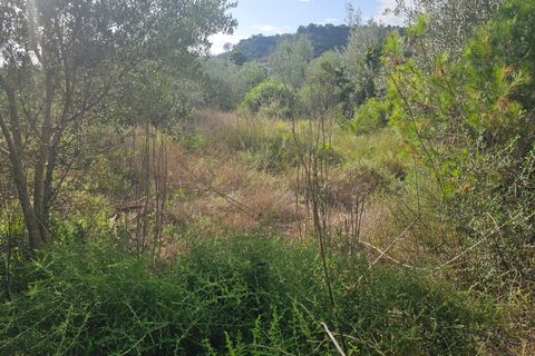 Finca i Xerta, Tarragona, Xerta - € 29.999 | Ref: Xer07jay - foto 11