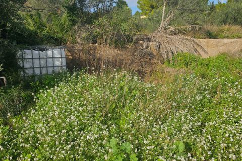 Finca i Xerta, Tarragona, Xerta - € 29.999 | Ref: Xer07jay - foto 7