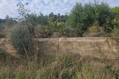 Finca i Xerta, Tarragona, Xerta - € 29.999 | Ref: Xer07jay - foto 15