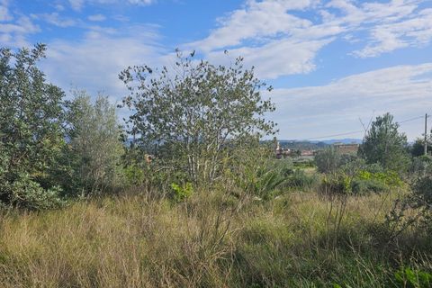 Finca i Xerta, Tarragona, Xerta - € 29.999 | Ref: Xer07jay - foto 10