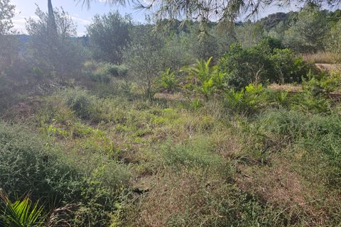 Finca i Xerta, Tarragona, Xerta - € 29.999 | Ref: Xer07jay - foto 14