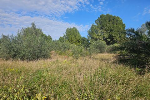 Finca i Xerta, Tarragona, Xerta - € 29.999 | Ref: Xer07jay - foto 12