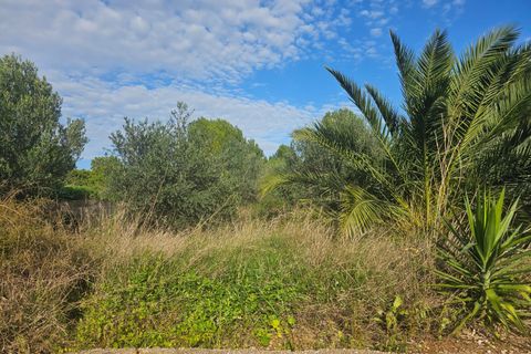 Finca i Xerta, Tarragona, Xerta - € 29.999 | Ref: Xer07jay - foto 16