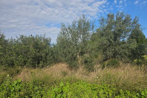 Finca i Xerta, Tarragona, Xerta - € 29.999 | Ref: Xer07jay - foto 13