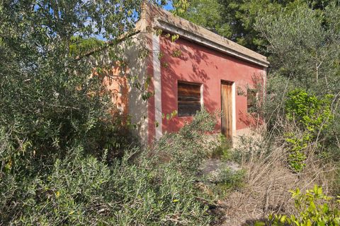 Finca i Xerta, Tarragona, Xerta - € 29.999 | Ref: Xer07jay - foto 17