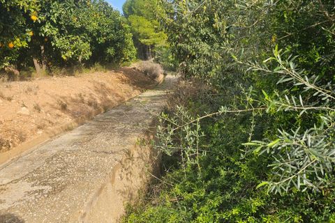 Finca i Xerta, Tarragona, Xerta - € 29.999 | Ref: Xer07jay - foto 9