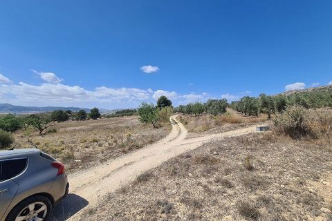 Terra a Sax, Alicante, Sax - € 39.995 | Ref: IVD13663 - foto 6