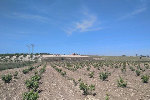 Villa a Canada Del Trigo, Alicante, Canada Del Trigo - € 105.000 | Ref: IVD13645 - foto 2