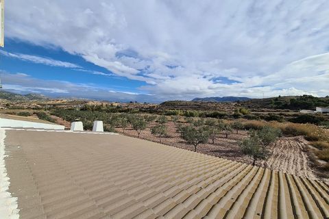 Landejendom i Sax, Alicante, Sax - € 349.995 | Ref: IVO13593 - foto 31