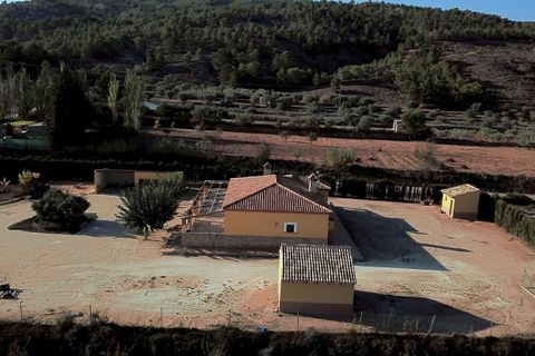 Villa i Pinoso, Alicante, Pinoso - € 370.000 | Ref: IVD13588 - foto 6