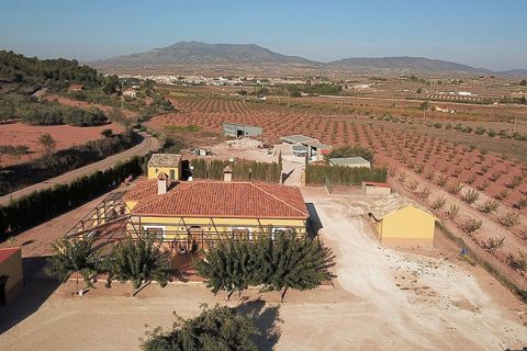 Villa i Pinoso, Alicante, Pinoso - € 370.000 | Ref: IVD13588 - foto 9