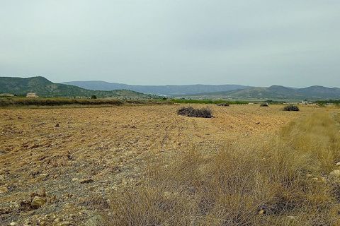 Terra a Monovar, Alicante, Monovar - € 65.000 | Ref: IVD13739 - foto 3