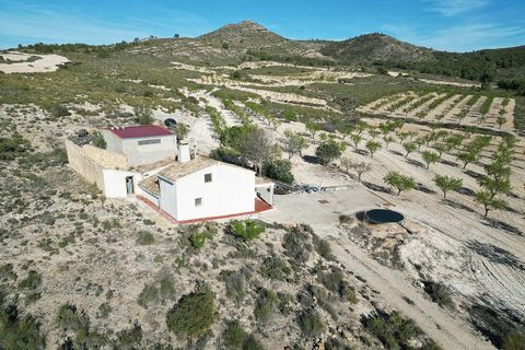 Landejendom i Caudete, Albacete, Caudete - € 145.000 | Ref: IVD13738 - foto 22