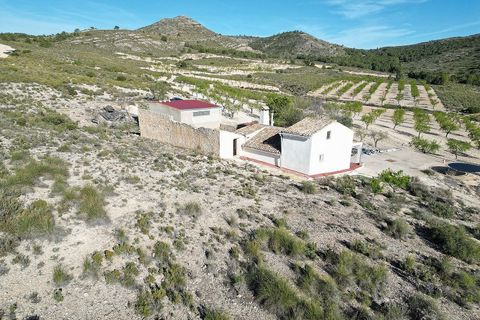 Landejendom i Caudete, Albacete, Caudete - € 145.000 | Ref: IVD13738 - foto 24