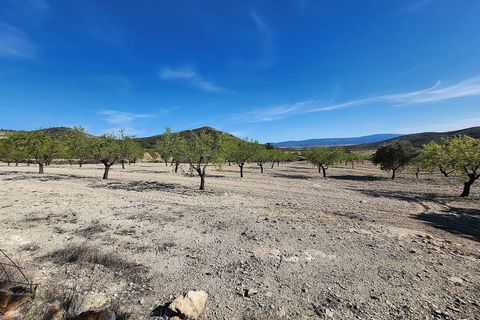 Landejendom i Caudete, Albacete, Caudete - € 145.000 | Ref: IVD13738 - foto 28