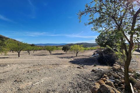Landejendom i Caudete, Albacete, Caudete - € 145.000 | Ref: IVD13738 - foto 32