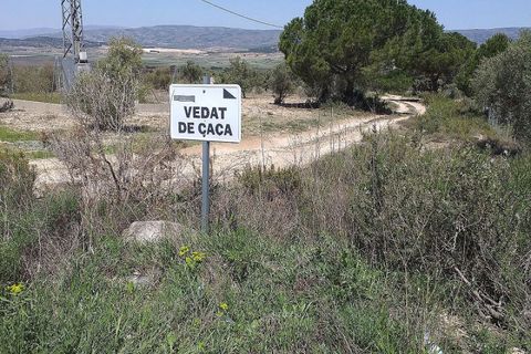 Tomt i Biar, Alicante, Biar - € 75 000 | Ref: IVD13693 - foto 4