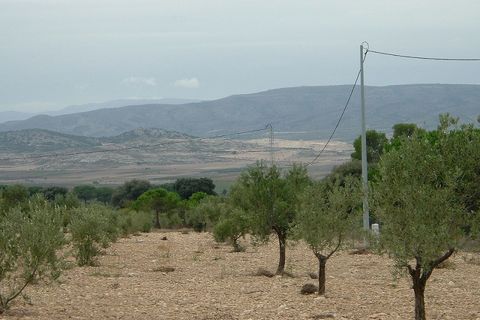 Tomt i Biar, Alicante, Biar - € 75 000 | Ref: IVD13693 - foto 5