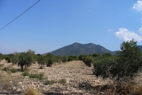 Tomt i Biar, Alicante, Biar - € 75 000 | Ref: IVD13693 - foto 6