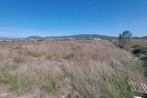 Tomt i Salinas, Alicante, Salinas - € 49 999 | Ref: IVO13681 - foto 3