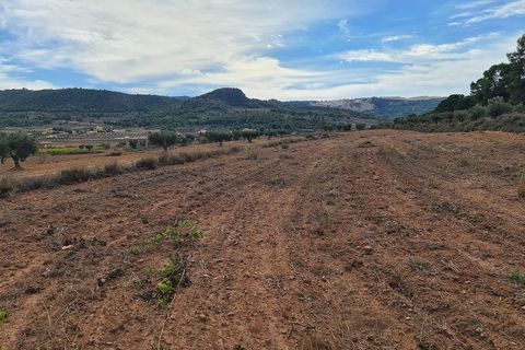 Helårsgrund i Pinoso, Alicante, Pinoso - € 35.000 | Ref: IVD13591 - foto 2
