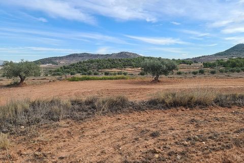 Helårsgrund i Pinoso, Alicante, Pinoso - € 35.000 | Ref: IVD13591 - foto 3