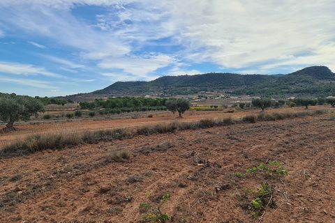Helårsgrund i Pinoso, Alicante, Pinoso - € 35.000 | Ref: IVD13591 - foto 4