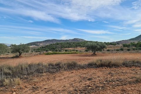 Helårsgrund i Pinoso, Alicante, Pinoso - € 35.000 | Ref: IVD13591 - foto 5