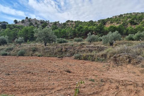Helårsgrund i Pinoso, Alicante, Pinoso - € 35.000 | Ref: IVD13591 - foto 6