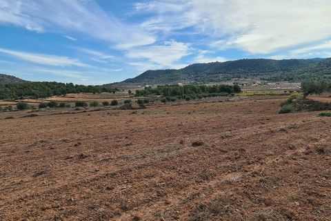 Helårsgrund i Pinoso, Alicante, Pinoso - € 35.000 | Ref: IVD13591 - foto 7