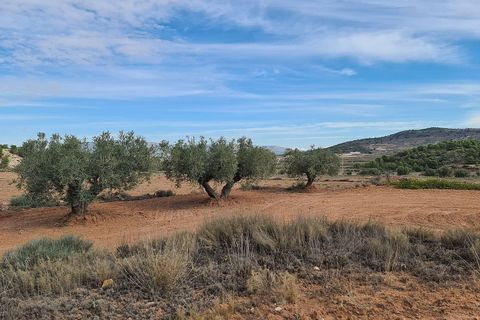 Helårsgrund i Pinoso, Alicante, Pinoso - € 35.000 | Ref: IVD13591 - foto 8
