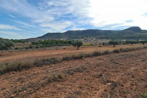 Helårsgrund i Pinoso, Alicante, Pinoso - € 35.000 | Ref: IVD13591 - foto 9