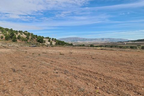 Helårsgrund i Pinoso, Alicante, Pinoso - € 35.000 | Ref: IVD13591 - foto 10