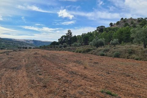 Helårsgrund i Pinoso, Alicante, Pinoso - € 35.000 | Ref: IVD13591 - foto 11