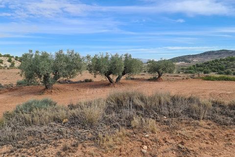 Helårsgrund i Pinoso, Alicante, Pinoso - € 35.000 | Ref: IVD13591 - foto 12