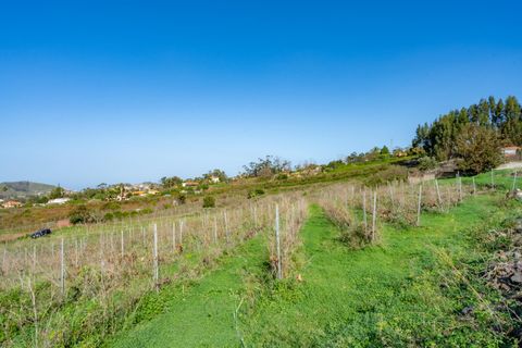 Helårsgrund i Tacoronte, Tenerife, Tacoronte - € 75.000 | Ref: 0067-04358/2961 - foto 6