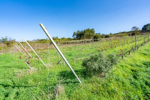 Helårsgrund i Tacoronte, Tenerife, Tacoronte - € 75.000 | Ref: 0067-04358/2961 - foto 7