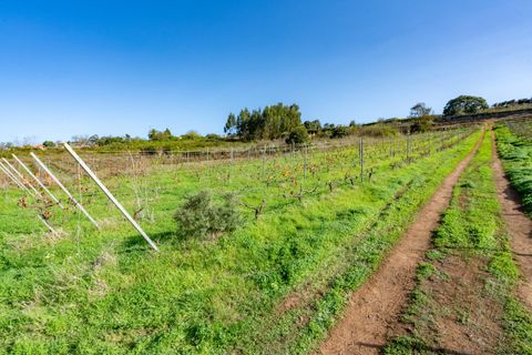 Helårsgrund i Tacoronte, Tenerife, Tacoronte - € 75.000 | Ref: 0067-04358/2961 - foto 8
