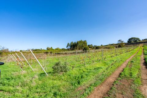 Helårsgrund i Tacoronte, Tenerife, Tacoronte - € 75.000 | Ref: 0067-04358/2961 - foto 9