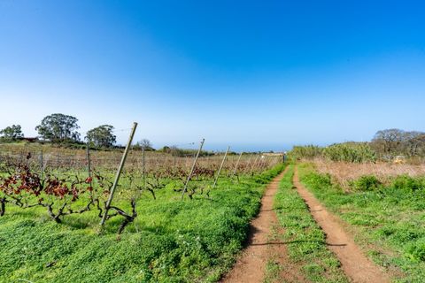 Helårsgrund i Tacoronte, Tenerife, Tacoronte - € 75.000 | Ref: 0067-04358/2961 - foto 10