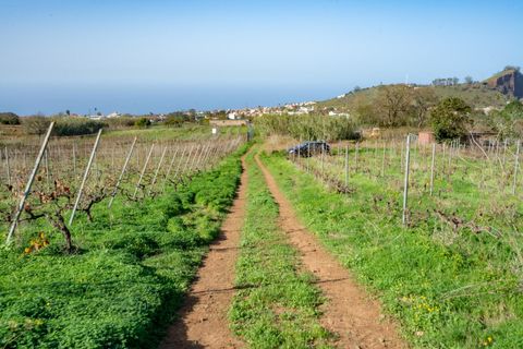 Helårsgrund i Tacoronte, Tenerife, Tacoronte - € 75.000 | Ref: 0067-04358/2961 - foto 11