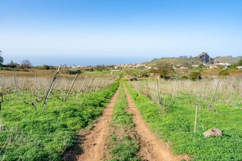 Helårsgrund i Tacoronte, Tenerife, Tacoronte - € 75.000 | Ref: 0067-04358/2961 - foto 12