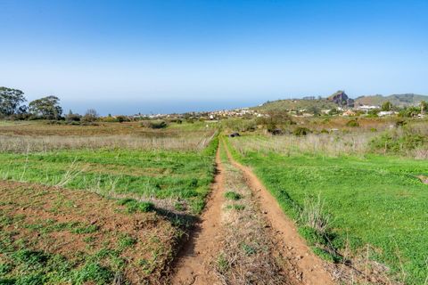 Helårsgrund i Tacoronte, Tenerife, Tacoronte - € 75.000 | Ref: 0067-04358/2961 - foto 13