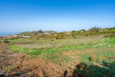 Helårsgrund i Tacoronte, Tenerife, Tacoronte - € 75.000 | Ref: 0067-04358/2961 - foto 14