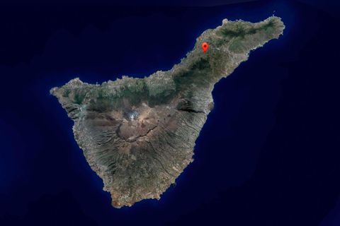 Helårsgrund i Tacoronte, Tenerife, Tacoronte - € 75.000 | Ref: 0067-04358/2961 - foto 16
