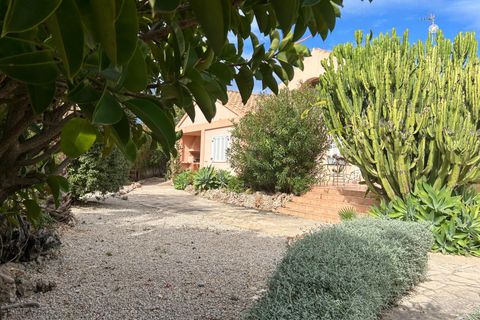 Villa i Vinaros, Castellon, Vinaros - € 490.000 | Ref: C-1466/6911 - foto 19