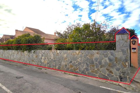 Villa i Vinaros, Castellon, Vinaros - € 490.000 | Ref: C-1466/6911 - foto 31