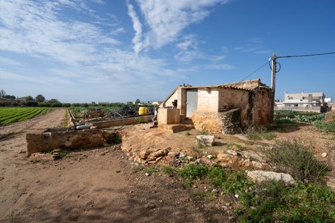 Farm hus i L'Aldea, Tarragona, L'Aldea - € 185.000 | Ref: 143 - foto 15