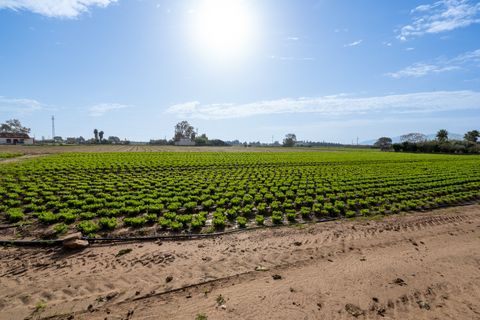 Farm hus i L'Aldea, Tarragona, L'Aldea - € 185.000 | Ref: 143 - foto 18